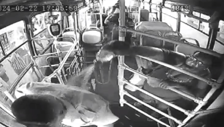 Mulher é presa por tentar atear fogo em motorista de ônibus