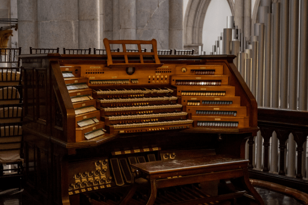Danificado há vinte anos, órgão de tubos da Catedral da Sé será restaurado