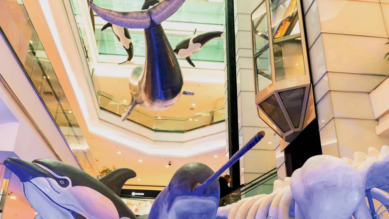 Reproduções de animais marinhos: tour gratuito com biólogos