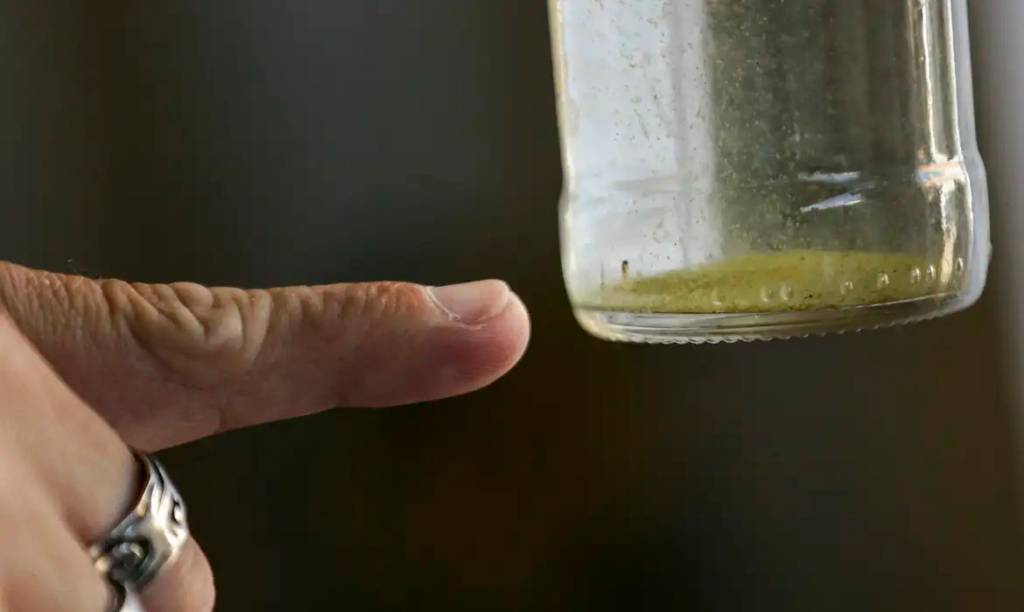 Sobe para 27 o número de mortes por dengue no estado de SP