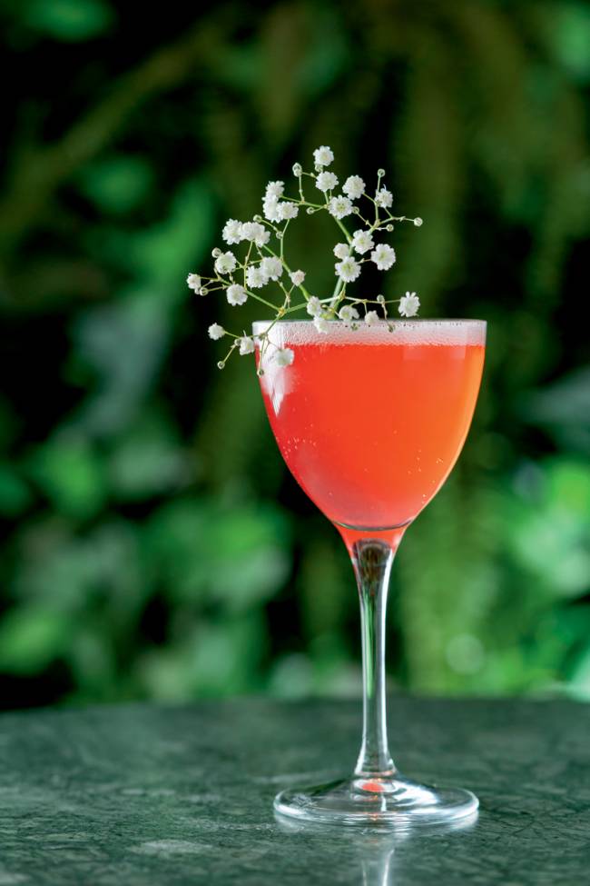 Locale caffe eximia-drinque