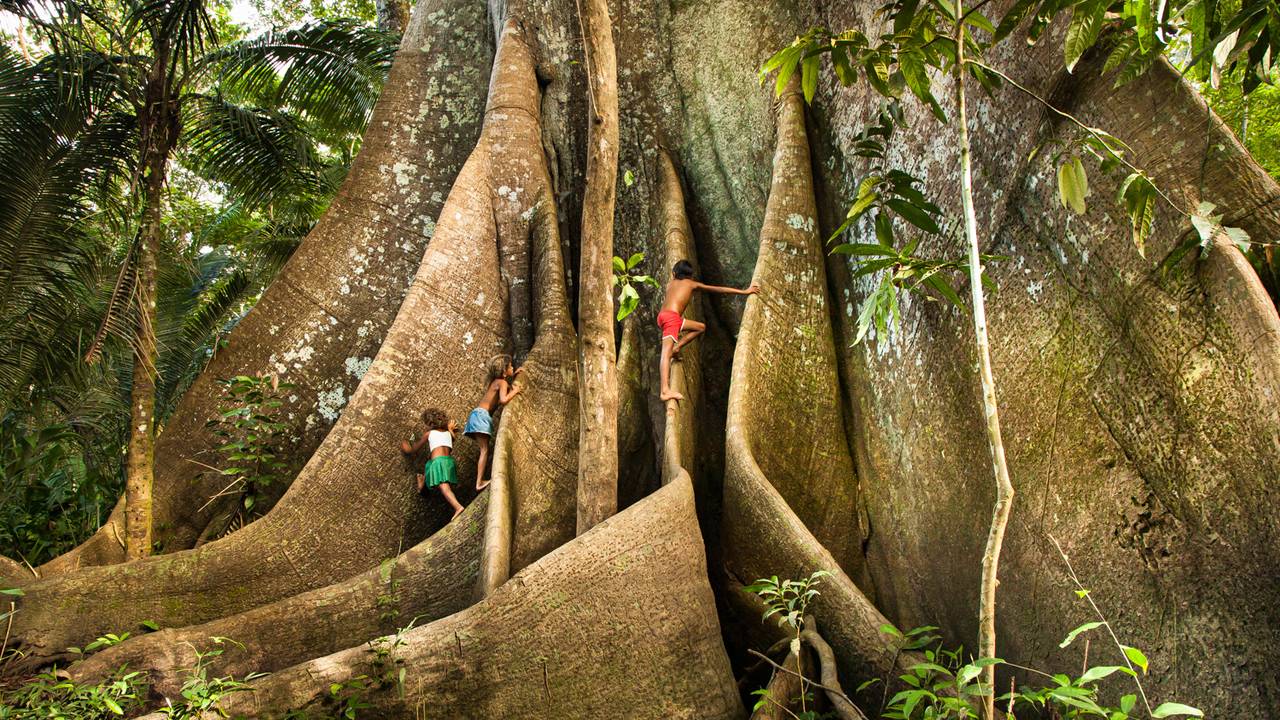 araquem-alcantara-amazonia-das-criancas