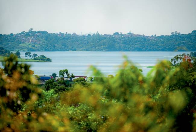 Polo de Ecoturismo de São Paulo – 12.03.2024 ¿ Parque Natural Municipal Jaceguava, Polo de Ecoturismo de São Paulo.Fotografias do Polo de Ecoturismo de São Paulo para matéria da Veja São Paulo com o jornalista Sérgio Quintella. Nesta foto: Parque parque-natural-jaceguava