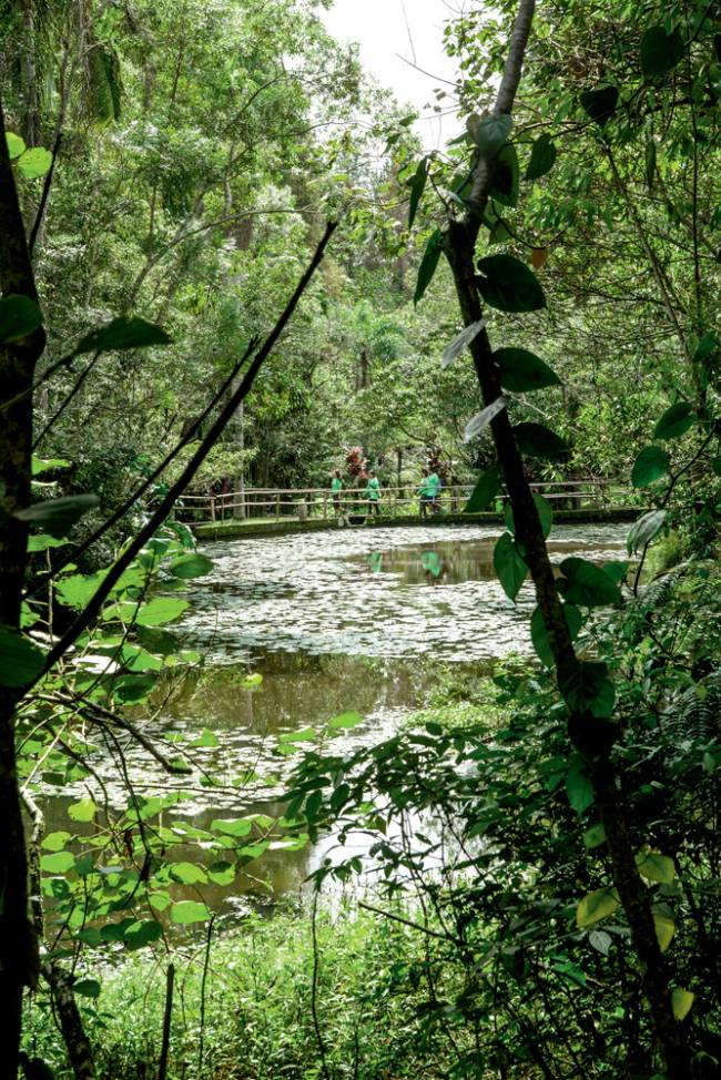 Fotos Do Parque Natural Municipal Itaim, turismo em São Paulo, Parelheiros, parque-municipal-itaim