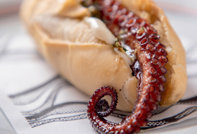 Sanduíches de polvo, como o choripolvo, viralizam em SP