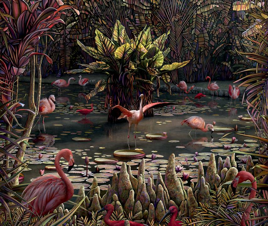 natureza-viva-marcelo-tinoco