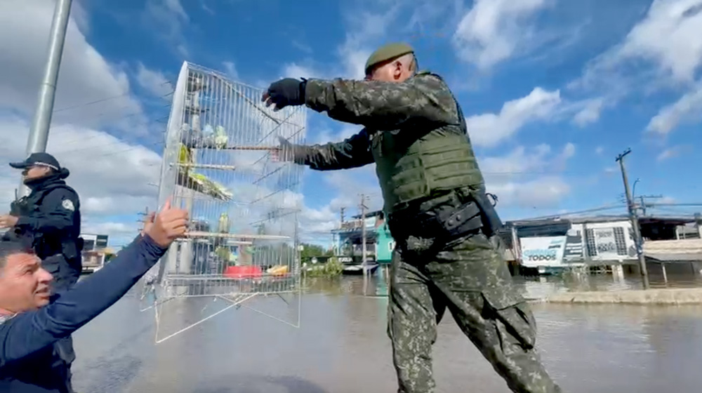 As histórias de servidores paulistanos no resgate de vítimas no Sul