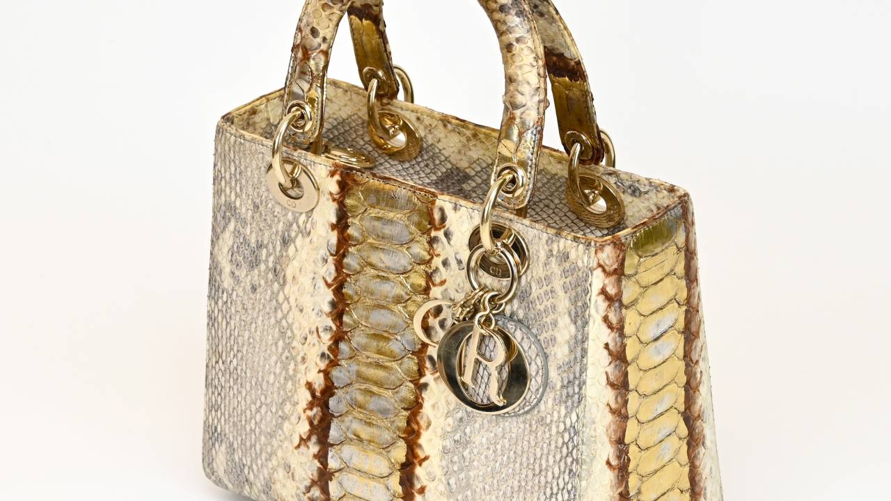 lady-dior-leila-blombo