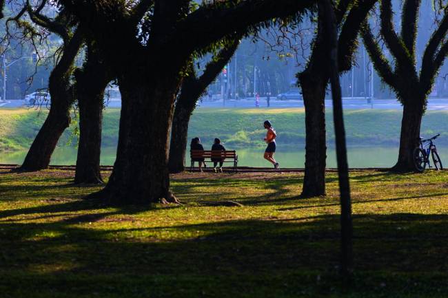 ANIVIBIRAPUERA5.jpg parque-do-ibirapuera-70-anos