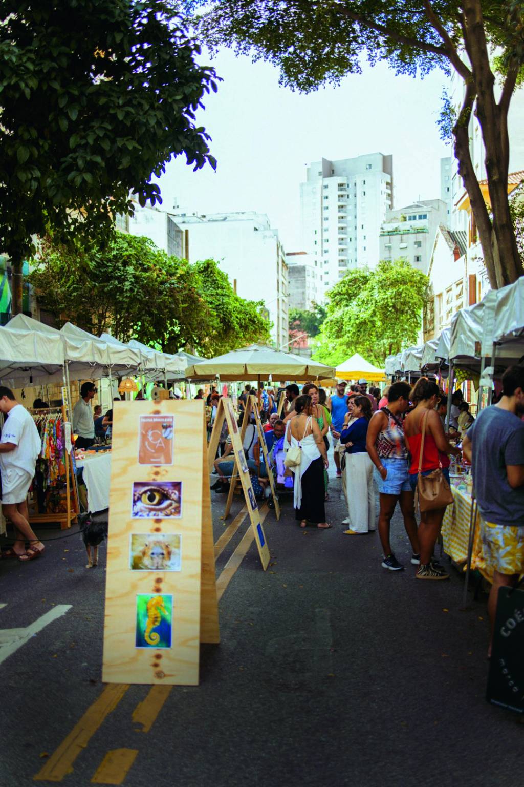 Feiras livres comprometidas com sustentabilidade se disseminam na cidade