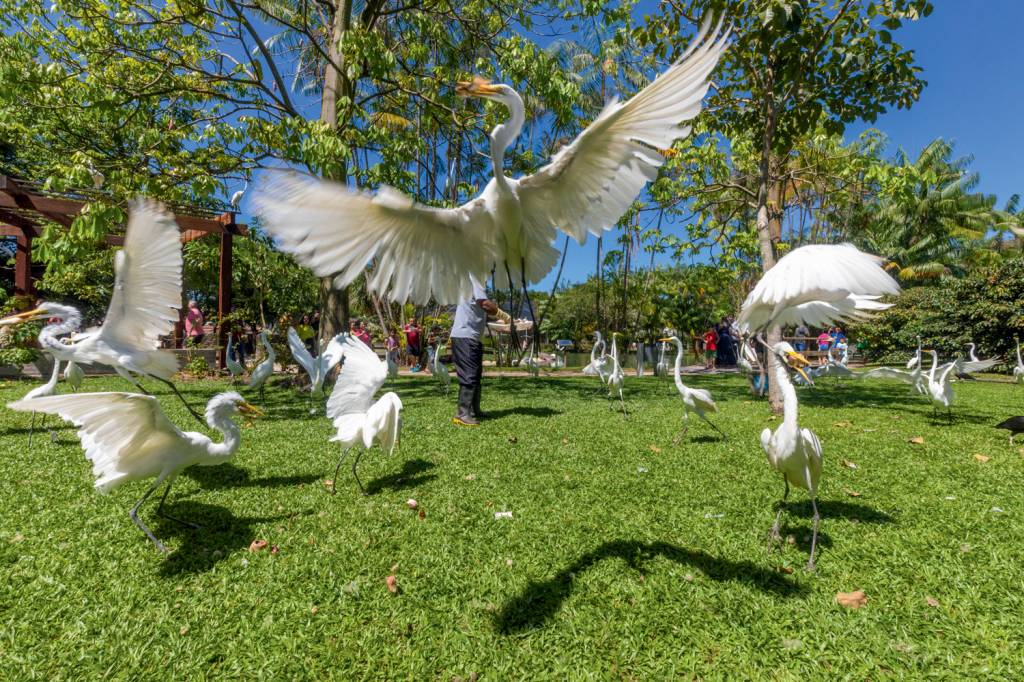 Pará Mangal das Garças, em Belém: almoço com hora marcada