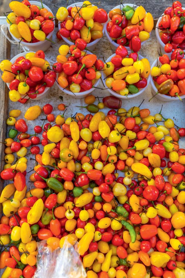 Pará Pimentas no Ver-o-peso: carrossel de cores