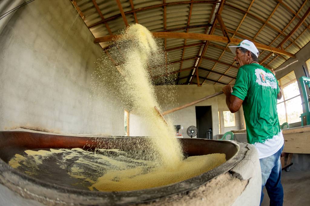 Pará Seu Bené, em Bragança: comércio e consultoria