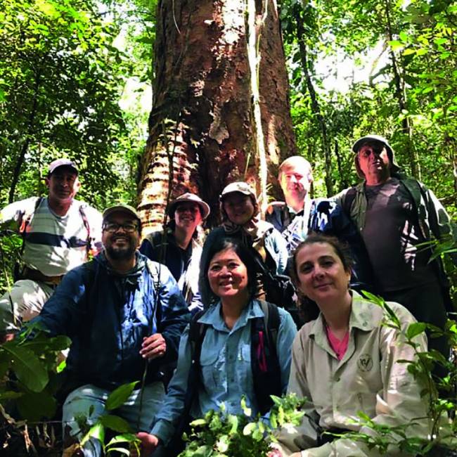 139e02c9-50c5-4fd2-b65e-fd391fa85d91.jpg ipa-pesquisadores-descobrem-especies-consideradas-em-extincao-em-sp