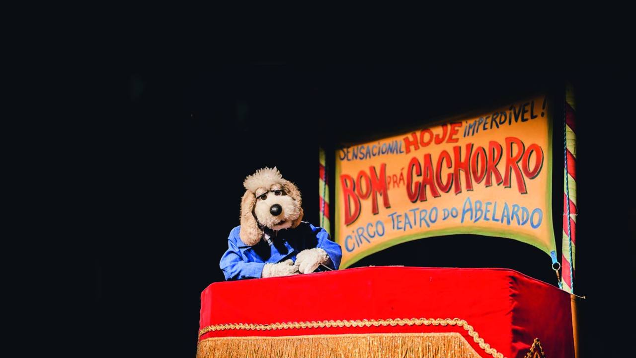 feira-das-formas-animadas