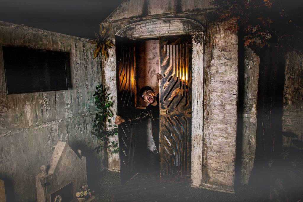 Passeio mal assombrado e muito mais: veja eventos de Halloween em SP