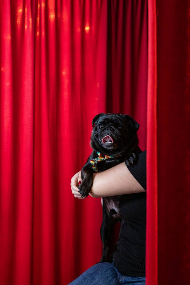 Conheça os bastidores do Natal em shoppings de São Paulo