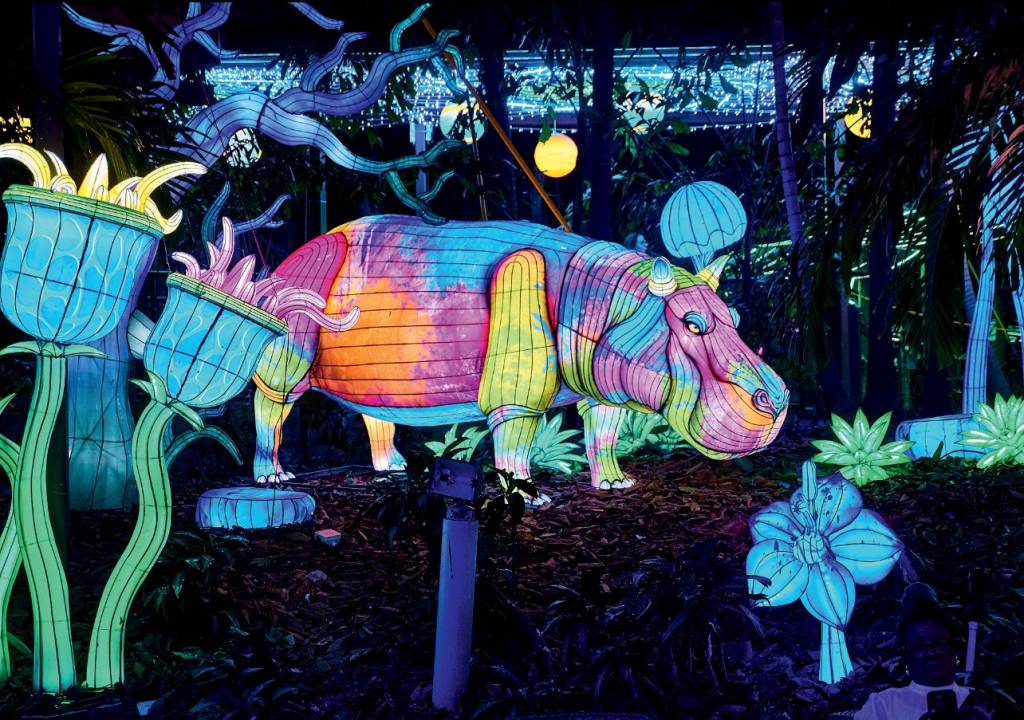 Festival de Luzes Lektrik Art chega ao Jardim Botânico de São Paulo