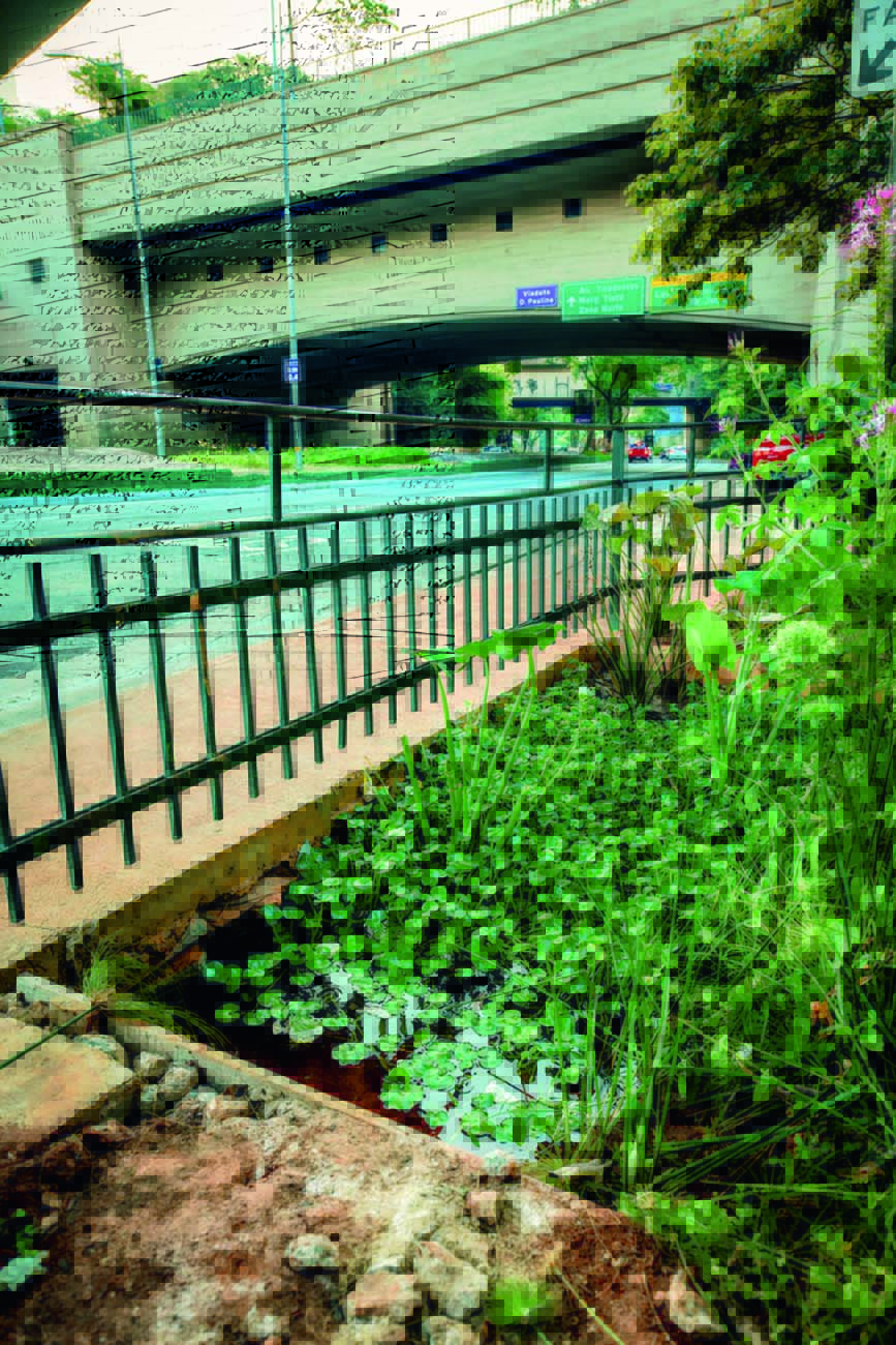 23 de maio Jardim de chuva na Avenida 23 de Maio: conceito simples