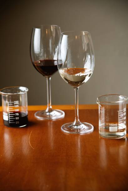Cacho Bar: vinhos com opções em taça
