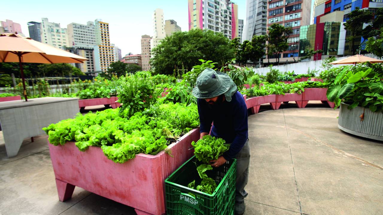 Horta da Cidade: produção orgânica e agroecologia