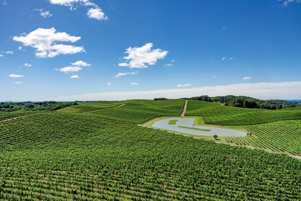 Serra Gaúcha retoma turismo de vinhos após enchentes de 2024