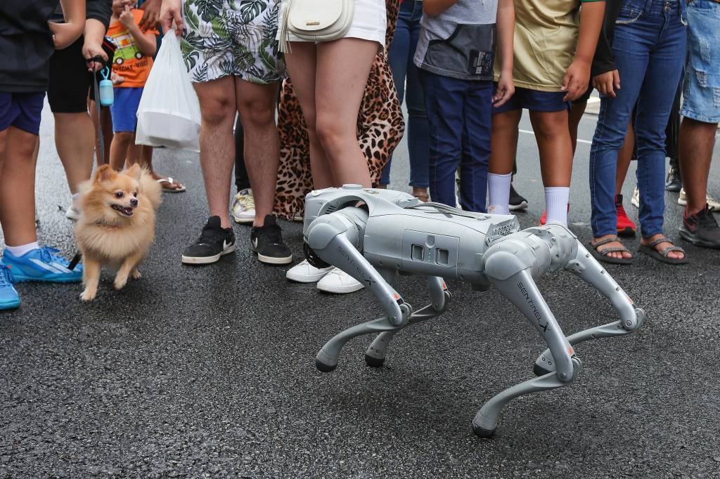 SEGUNDA DUPLA (QUARTA PÁGINA) Robô-dog crédito Ciete Silverio_SECOM_Divulgação.jpg O Smart Dog: robô que faz reconhecimento facial