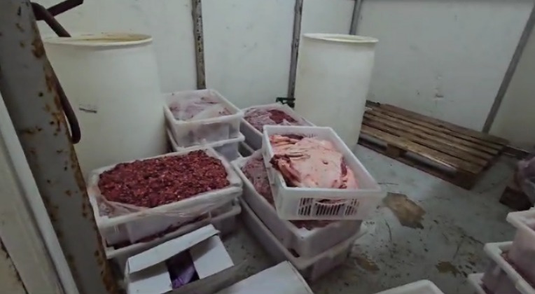 Frigorífico com 38 toneladas de carne imprópria é fechado no interior de SP