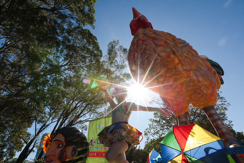 Galo da Madrugada arrasta multidão no Ibirapuera e mais blocos na terça (4) de Carnaval em SP
