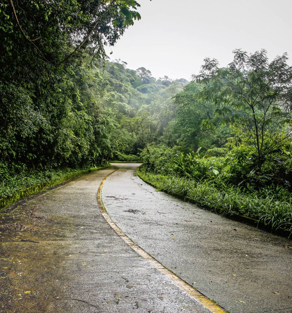 Parque Caminhos do Mar Estrada Velha: 18 km entre ida e volta
