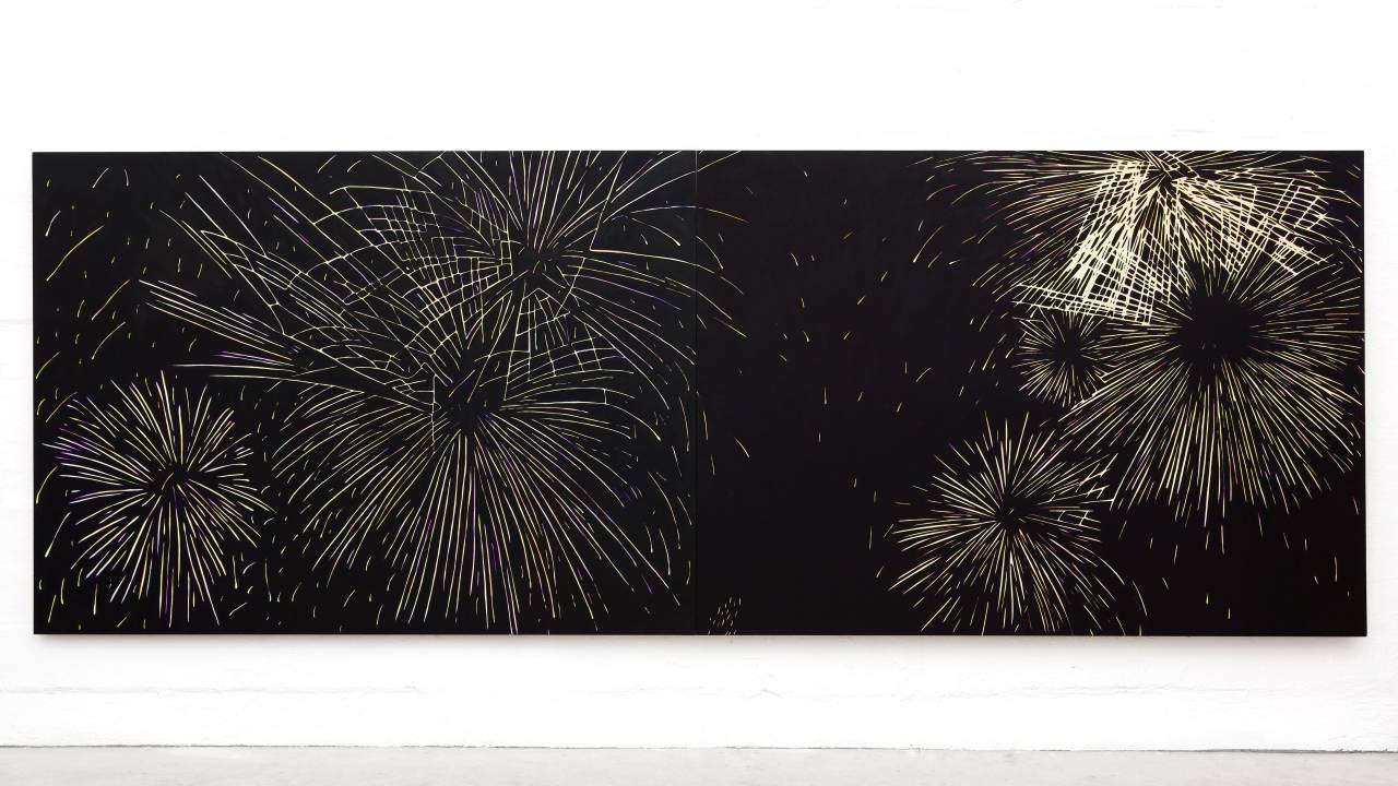 patricia-leite-fireworks