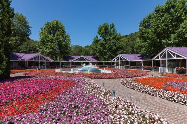 unique-garden-jardins