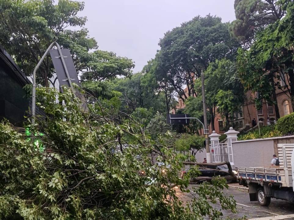 chuva-sao-paulo-queda-de-arvores