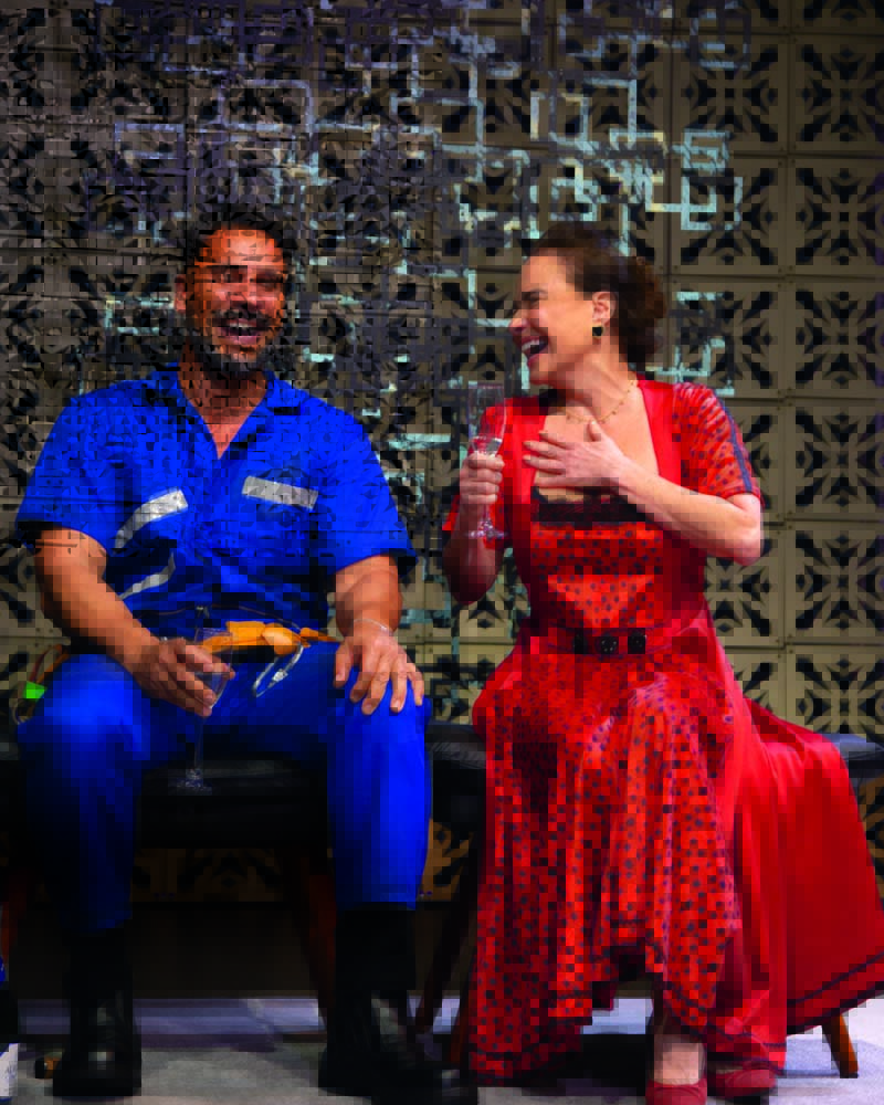 “A Vida Começa aos 60”, de Aguinaldo Silva, aborda o etarismo com humor