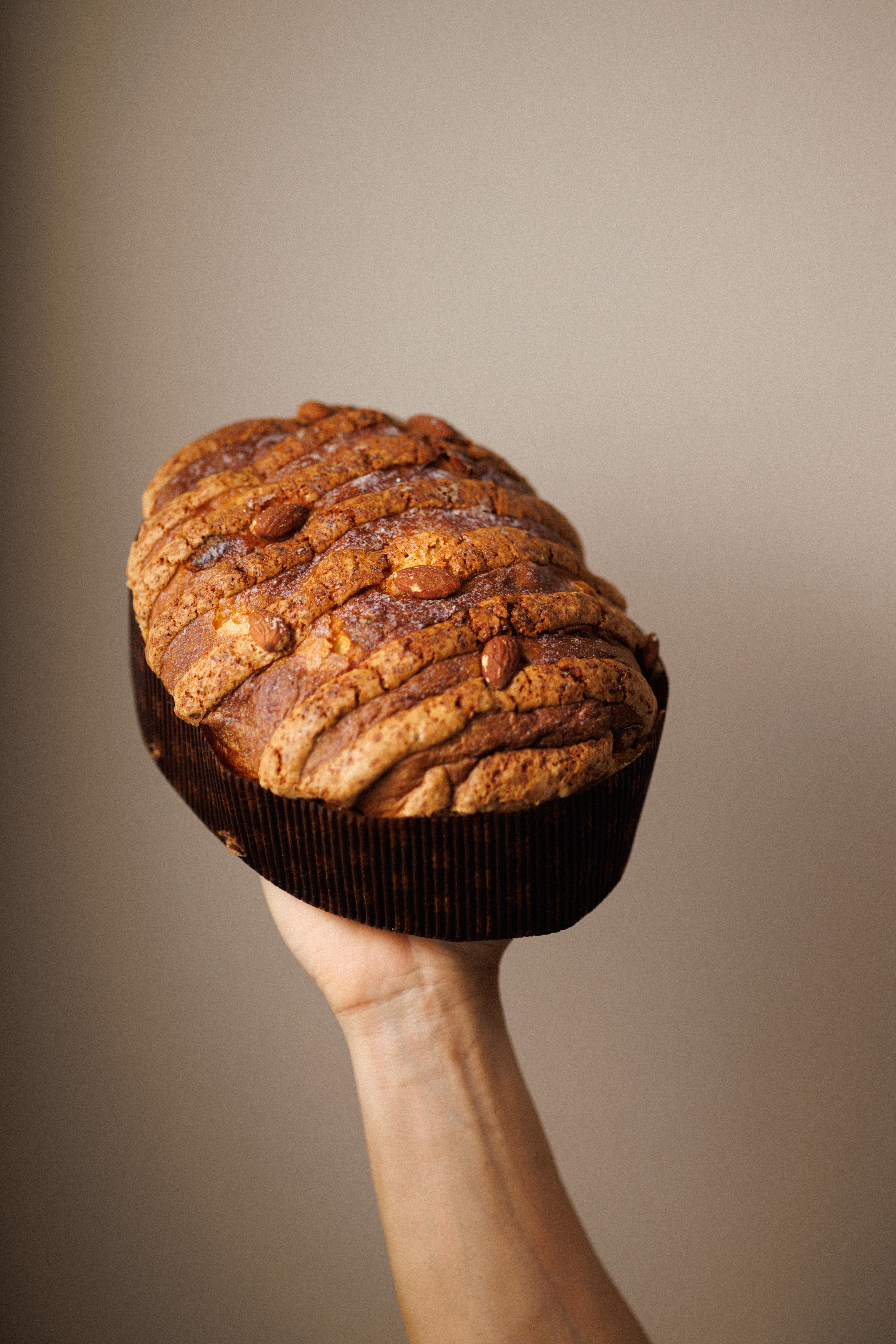 Colomba com fundo decorado e cinza