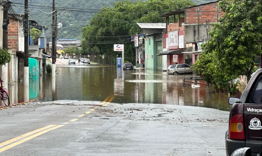 Chuva causa queda de árvores e danos em muros na Grande SP