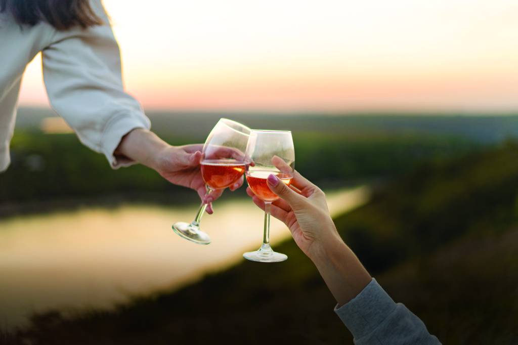 Primeiro gole: saiba como adentrar no mundo dos vinhos