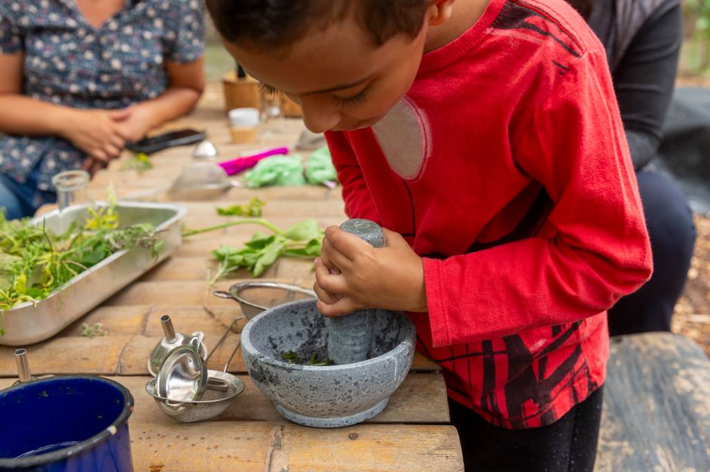 Sesc Interlagos convida os pequenos a brincar na natureza