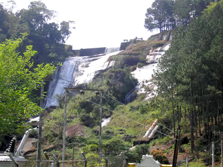 Parques estaduais têm programação gratuita para a Semana do Meio Ambiente