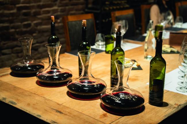 terraza-los-andes-viagem-vinicola-argentina