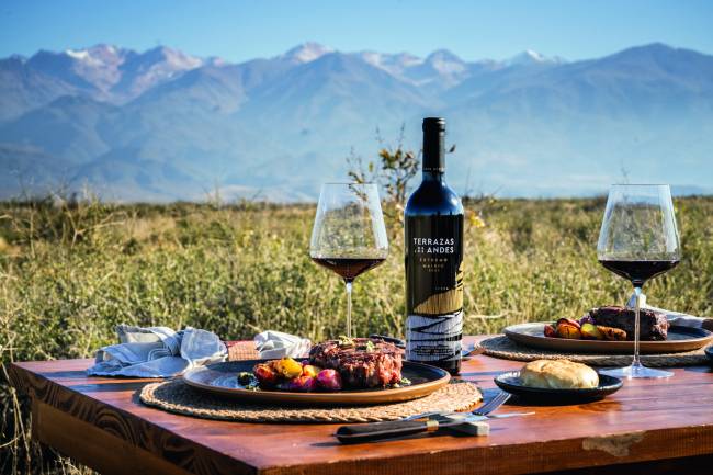 terraza-los-andes-viagem-vinicola-argentina