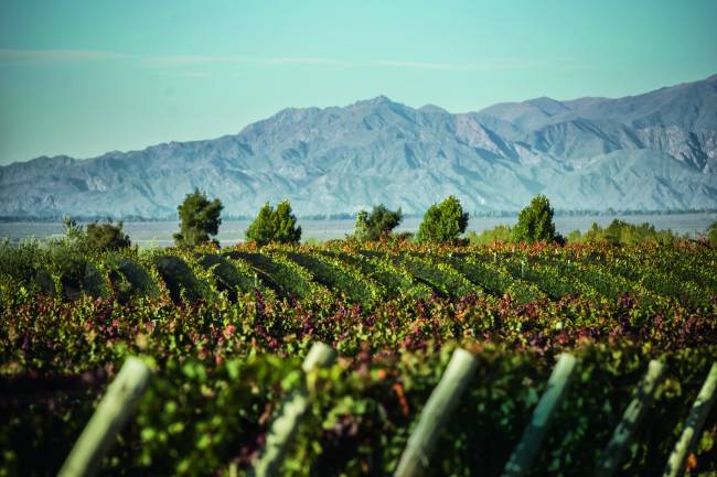 terraza-los-andes-viagem-vinicola-argentina