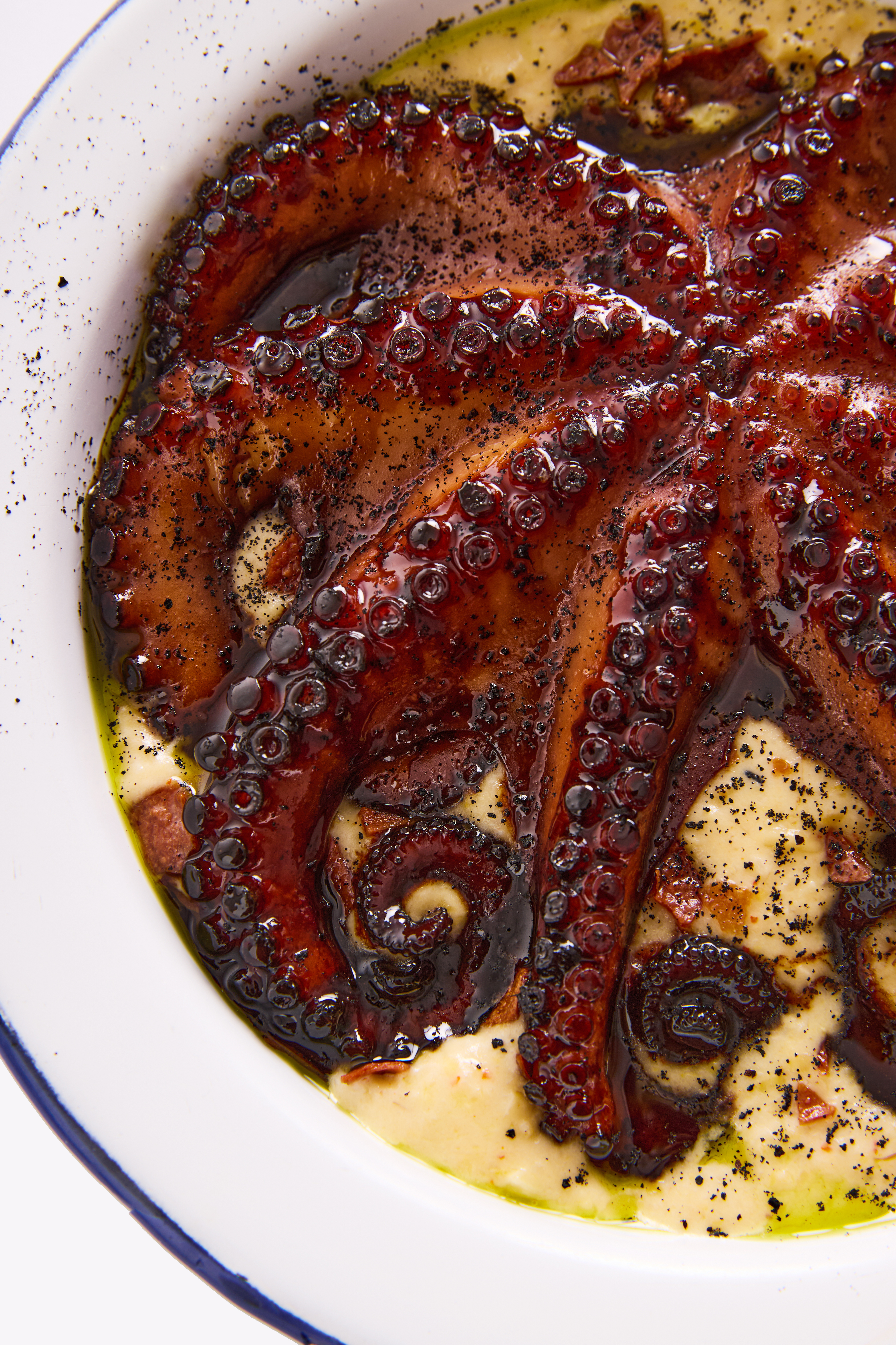 Prato branco com polvo