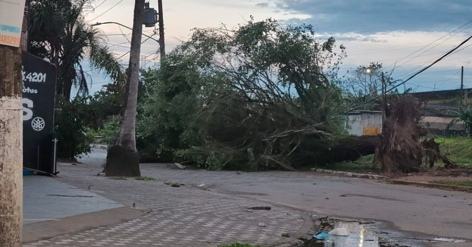Ciclone: ventos fortes causam estragos em várias partes do estado