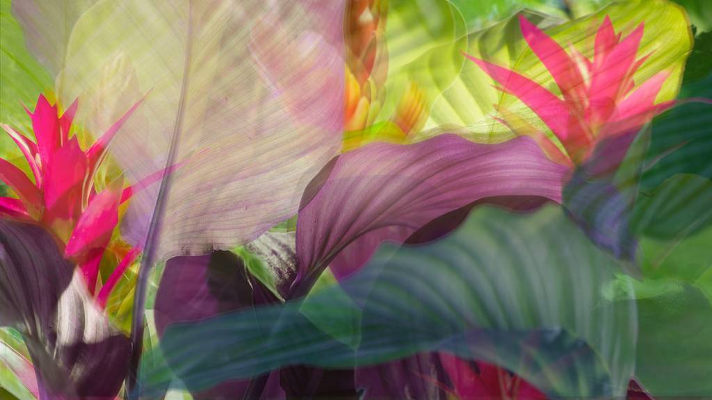 Elisa Stecca e Willy Biondani apresentam 30 obras inéditas no MIS