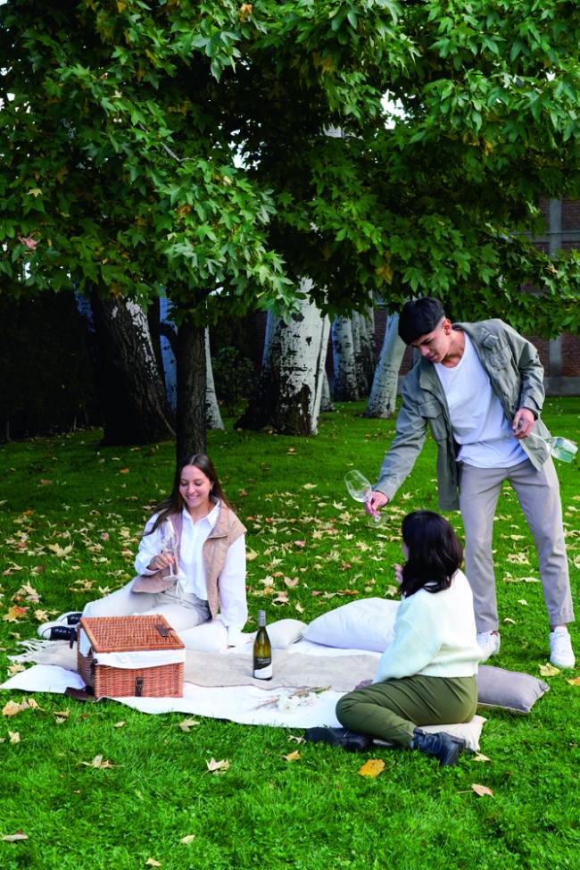 terraza-los-andes-viagem-vinicola-argentina