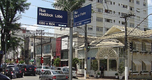 Árvore cai na Rua Haddock Lobo e deixa imóveis sem luz nos Jardins