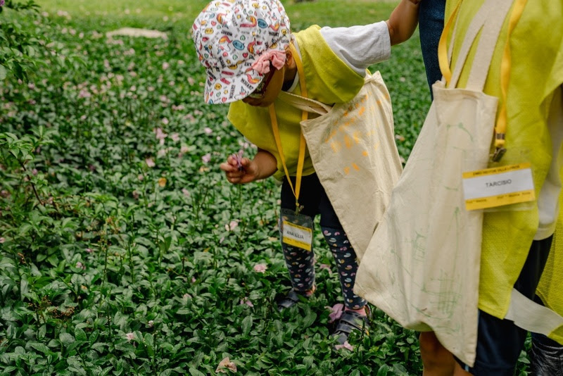 Férias: Ibirapuera tem programação especial