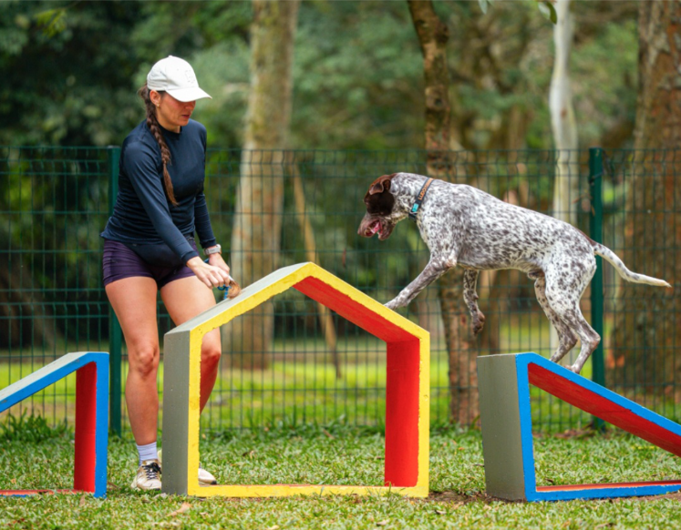 Festival Pet tem mutirão de castração e shows de João Suplicy e Ellen Oléria