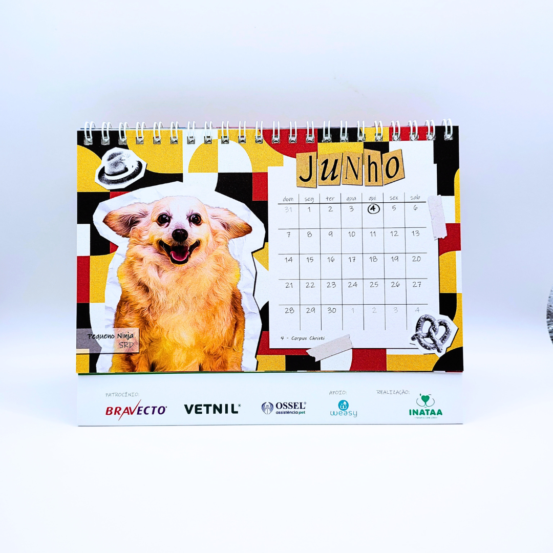 Cães coterapeutas são homenageados em calendário vendido em evento em SP
